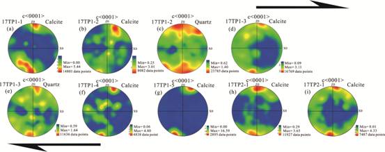 Fig. 7 EBSD